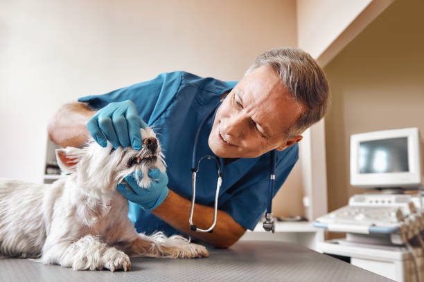 Best Tooth Pain Emergency Relief  in Lake Cherokee, TX
